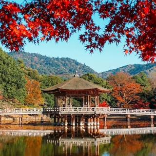 DAY TOUR DẠO QUANH PHỐ CẢNG KOBE CỦA NHẬT BẢN